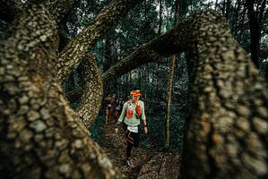 BIB: 
                            <button type="button" onclick="openModal(25674063)" class="btn btn-primary btn-sm float-right btn-popup" data-toggle="modal" data-target=".modal-high-quality">
                        <i class="fas fa-shopping-cart"></i> Add to Cart
                    </button>
                                            <button type="button" onclick="isThisMe(25674063, true)" class="btn btn-success btn-sm float-right btn-popup btn-isme hidden" data-toggle="tooltip" data-placement="bottom" title="นี่คือรูปของคุณใช่ไหม คลิกที่นี่เพื่อเอาเข้าอัลบั้ม">
                        <i class="fas fa-plus"></i> Add to album
                    </button>
                    <button type="button" onclick="isThisMe(25674063, false)" class="btn btn-warning btn-sm float-right btn-popup btn-isnotme hidden">
                        <i class="fas fa-ban"></i> Remove from album
                    </button>